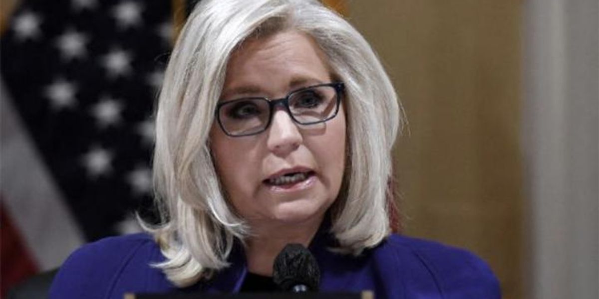 Liz Cheney trashed for denouncing Trump supporters - after she supported him