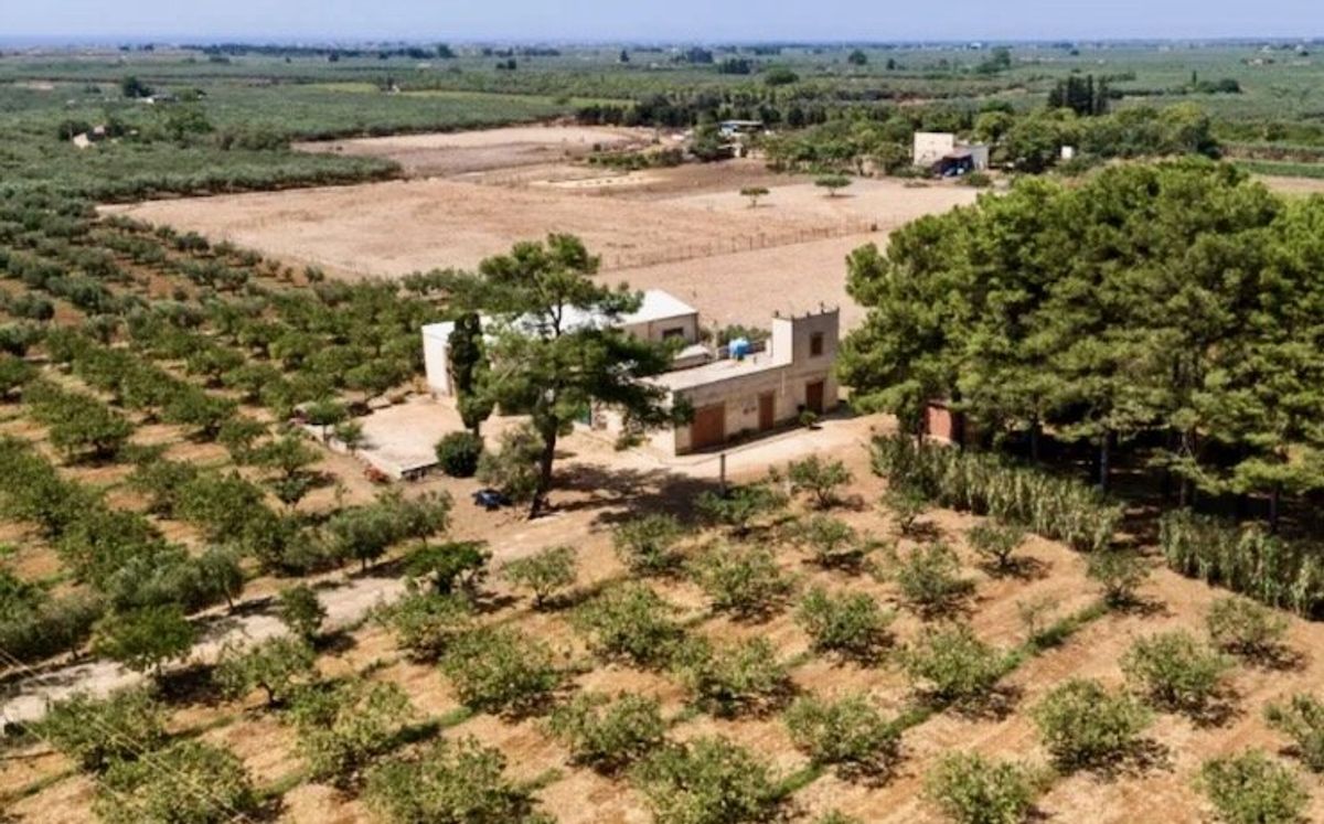 In drought-hit Sicily, rainwater is dumped in the sea