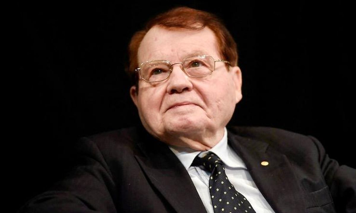 Luc Montagnier, French Nobel laureate who co-discovered HIV, dies at 89