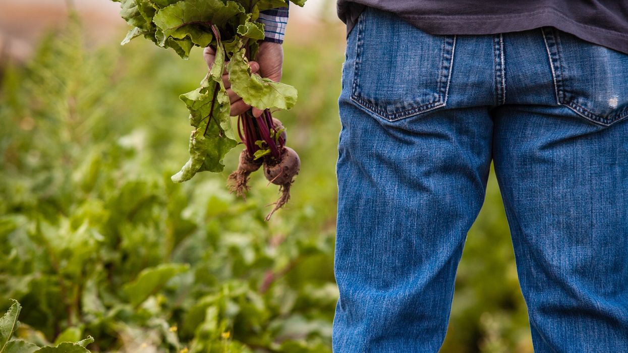 Looming cuts to emergency SNAP benefits threaten food security in rural America