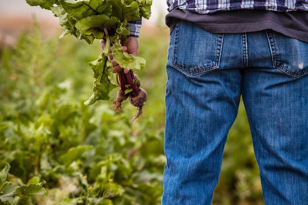 Looming cuts to emergency SNAP benefits threaten food security in rural America