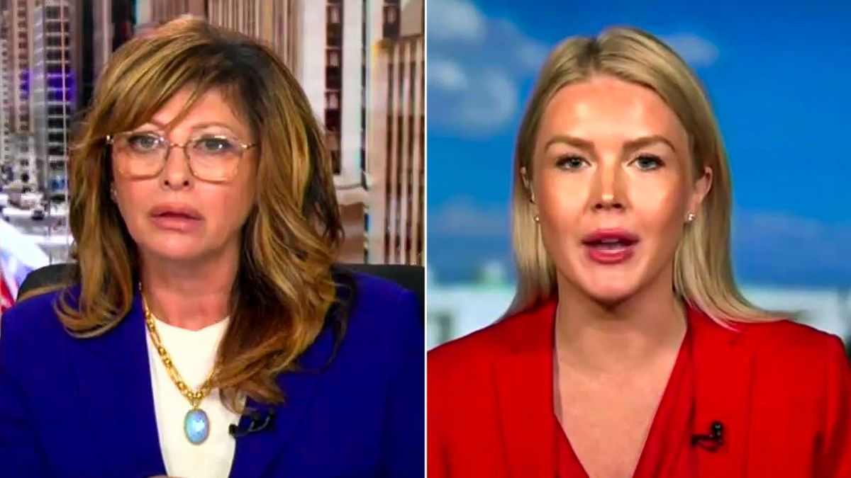 'Healthy': Karoline Leavitt reacts to Elon Musk 'body-checking' Trump adviser