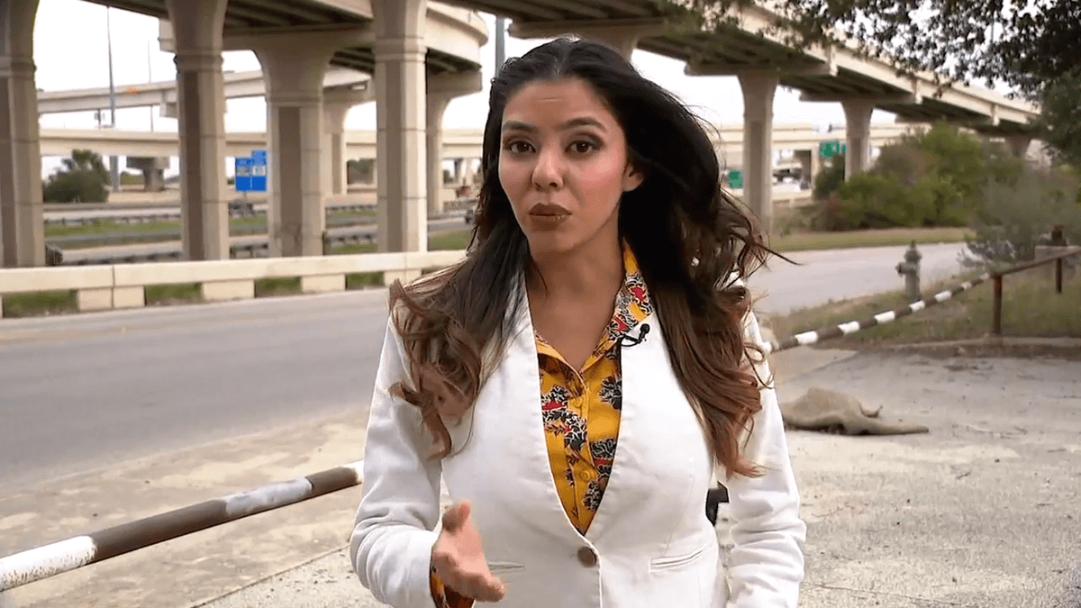 'Embarrassed for you': Attorney refuses to back down after judge calls dress inappropriate