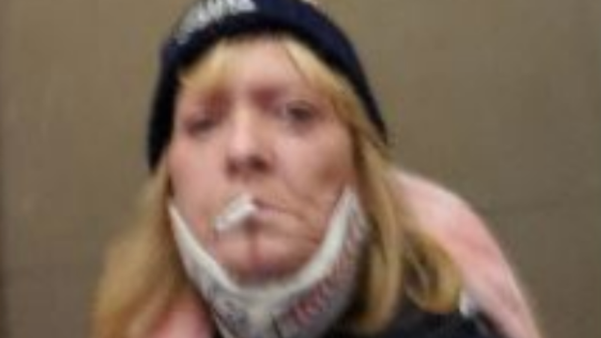 Jan. 6 rioter asks judge to let her carry a gun because her husband is a baseball umpire