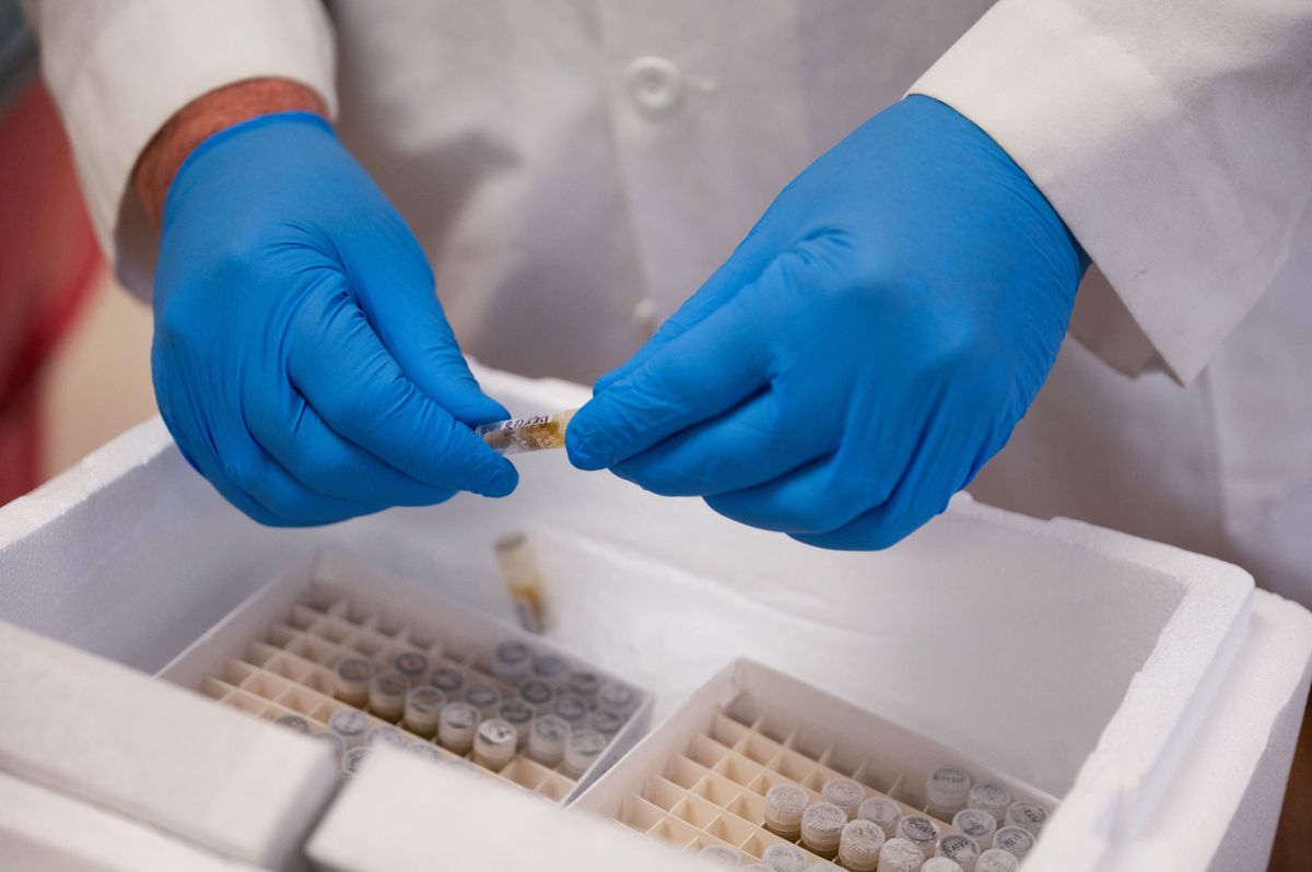 Musk's latest cuts will hamper life-saving medical research for 'a generation': report