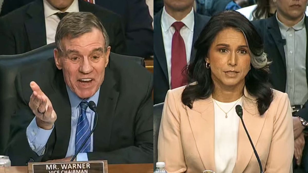 Tulsi Gabbard stunned into silence as Dem hammers her over war plans: 'Share the text!'