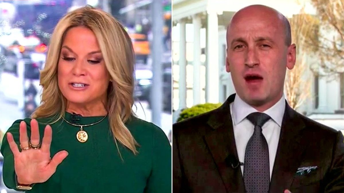 'Moron!' Fox News host loses control of Stephen Miller as he yells about MSNBC pundit