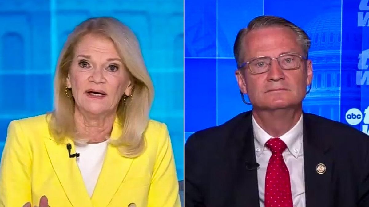 'You are obviously one of those people': ABC host confronts 'stupid Republican'