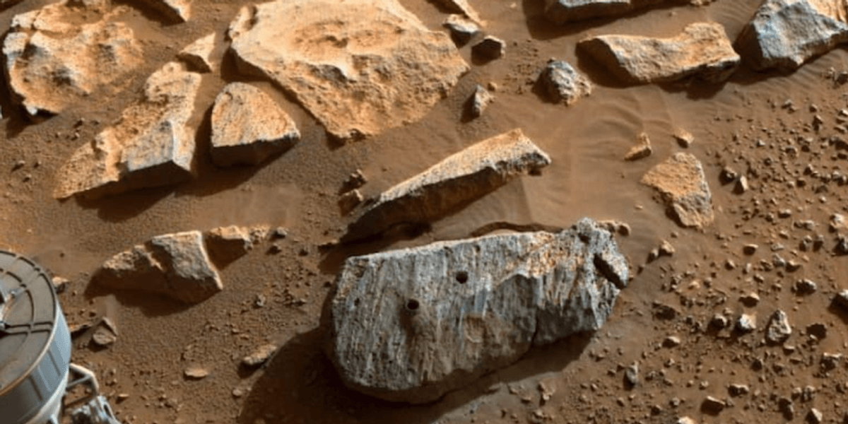 Mars Relic Mars rocks collected by Perseverance boost case for ancient life - Raw ...