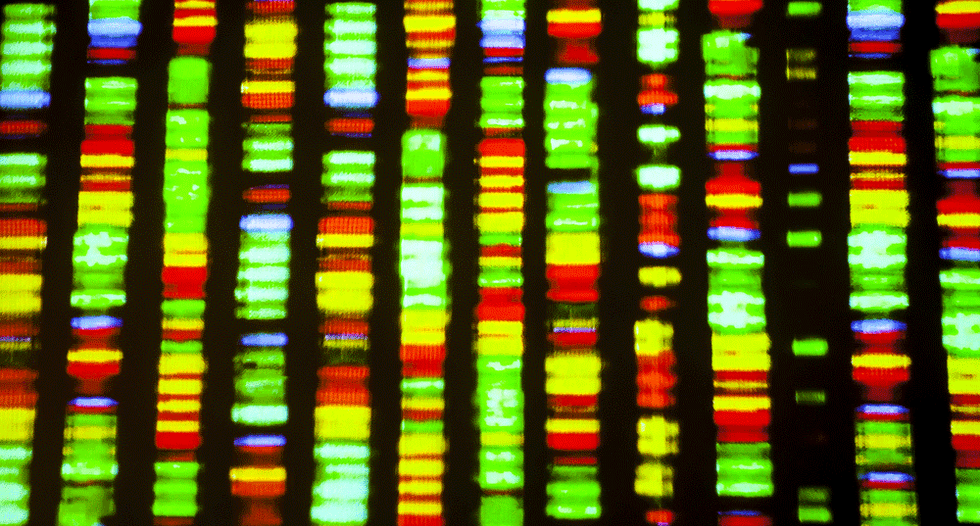 What is gene editing and how could it shape our future?