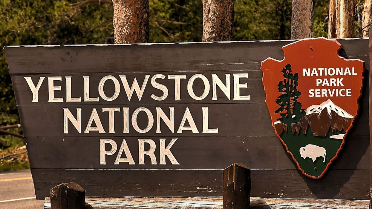 Hydrothermal explosion causes damage in area of Yellowstone National Park