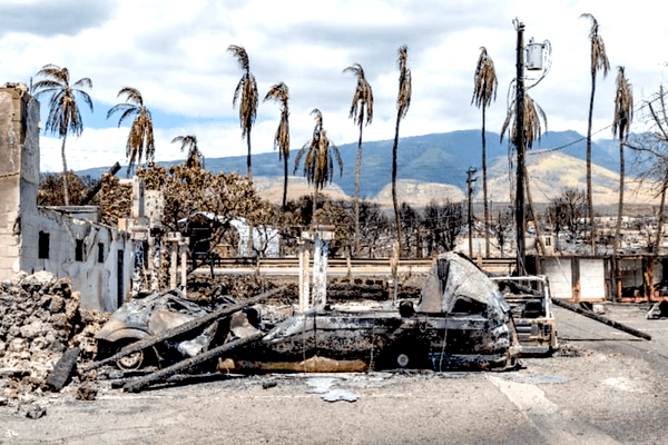 Extreme weather 101: Your guide to staying prepared and informed