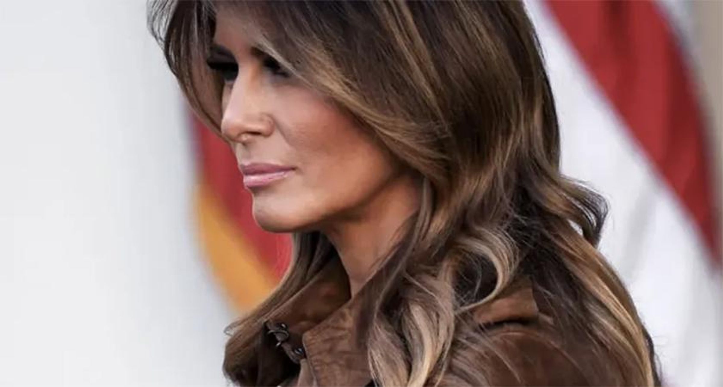Miles Taylor: Melania Trump was reportedly poised to dump Donald as aides pondered mass resignation: former official in 2018 (rawstory.com)