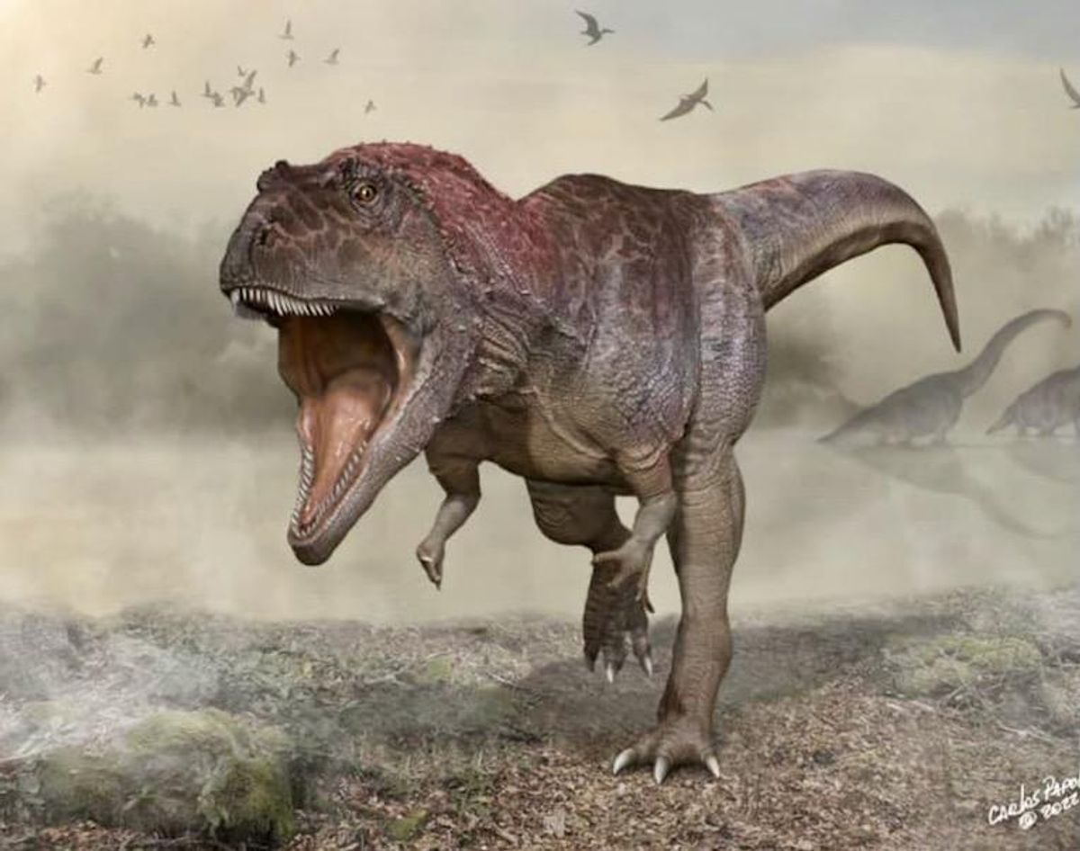 New giant dinosaur predator discovered with tiny arms, like T. rex