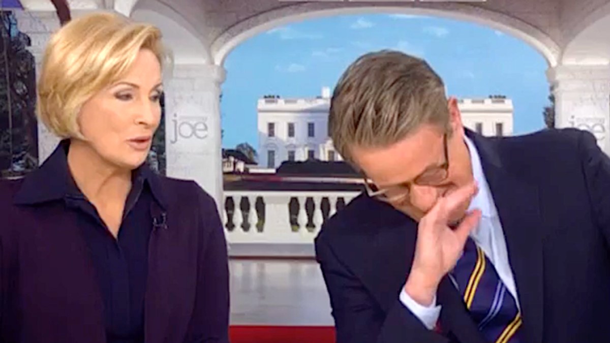 'Running for the hills!' James Comer's Hunter Biden blunder draws laughs from Morning Joe