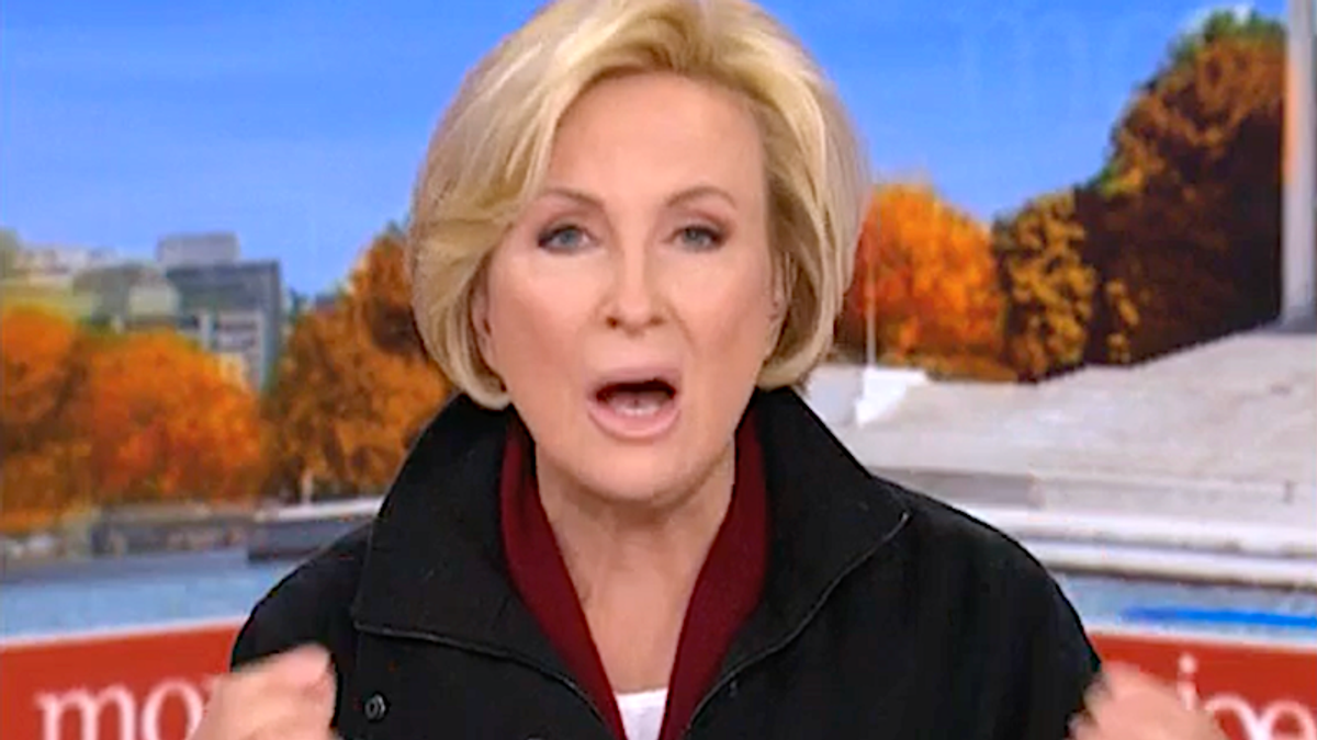 'Beyond stupid': MSNBC's Mika rips Trump's 'rudeness' in a fraud trial he already lost