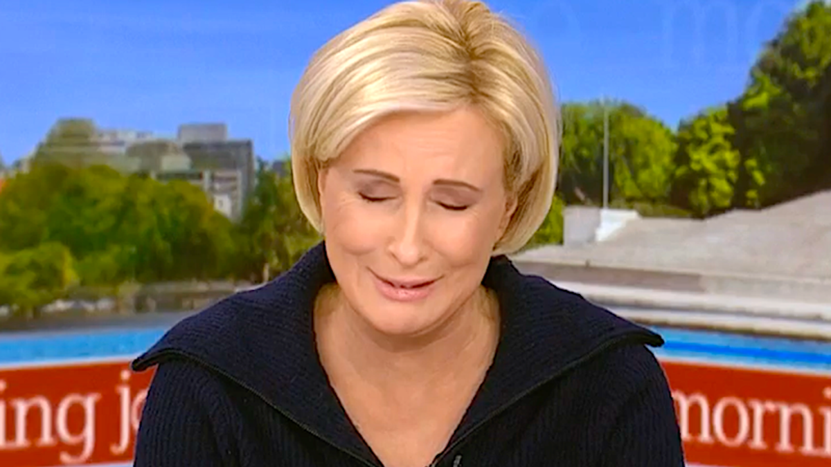 'It's hard to believe': MSNBC panel dumbfounded by comments from undecided voters