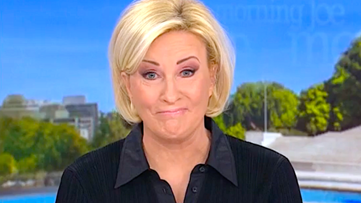 Wow!' MSNBC's Mika surprised after hearing Trump voters ripping his top economic policy