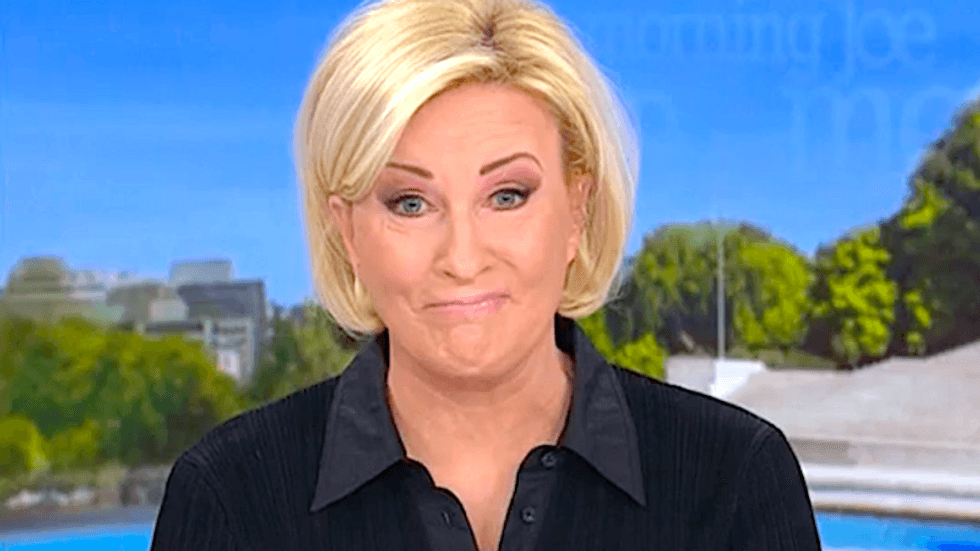 Wow!' MSNBC's Mika surprised after hearing Trump voters ripping his top economic policy