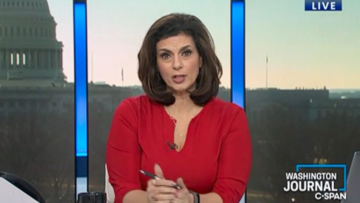 'Sexual abuse, that's so much better': C-SPAN caller snaps as host denies Trump rape claim