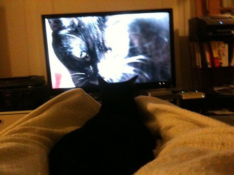 Molly watches herself