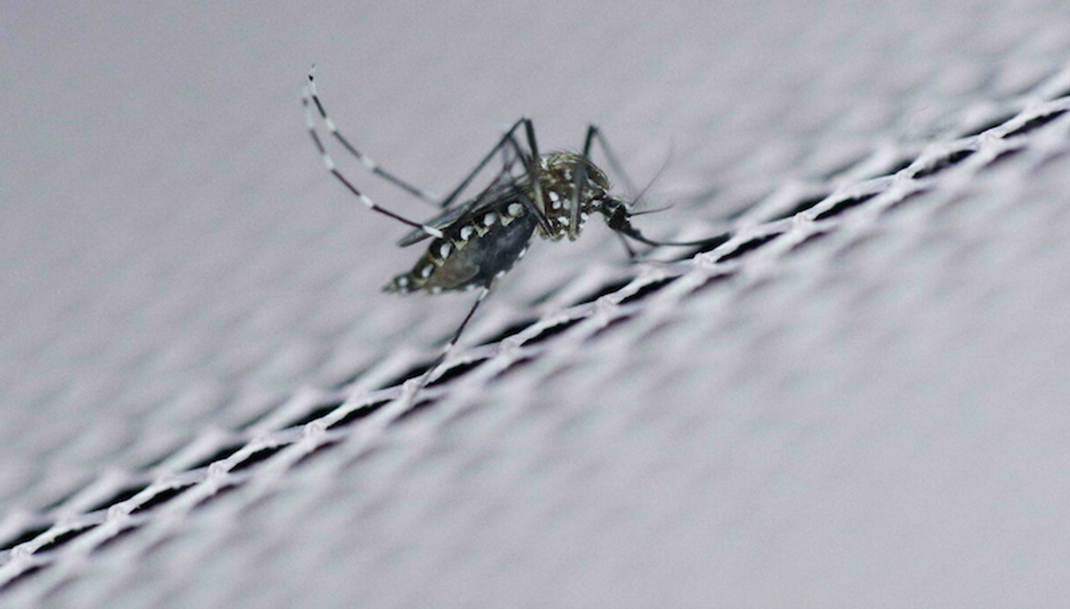 Scientists debate promise, peril of tweaking wild genomes