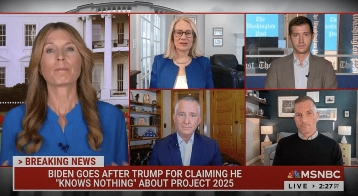'High risk' MSNBC host confesses fear of Trump's promised 'retribution and brutality'