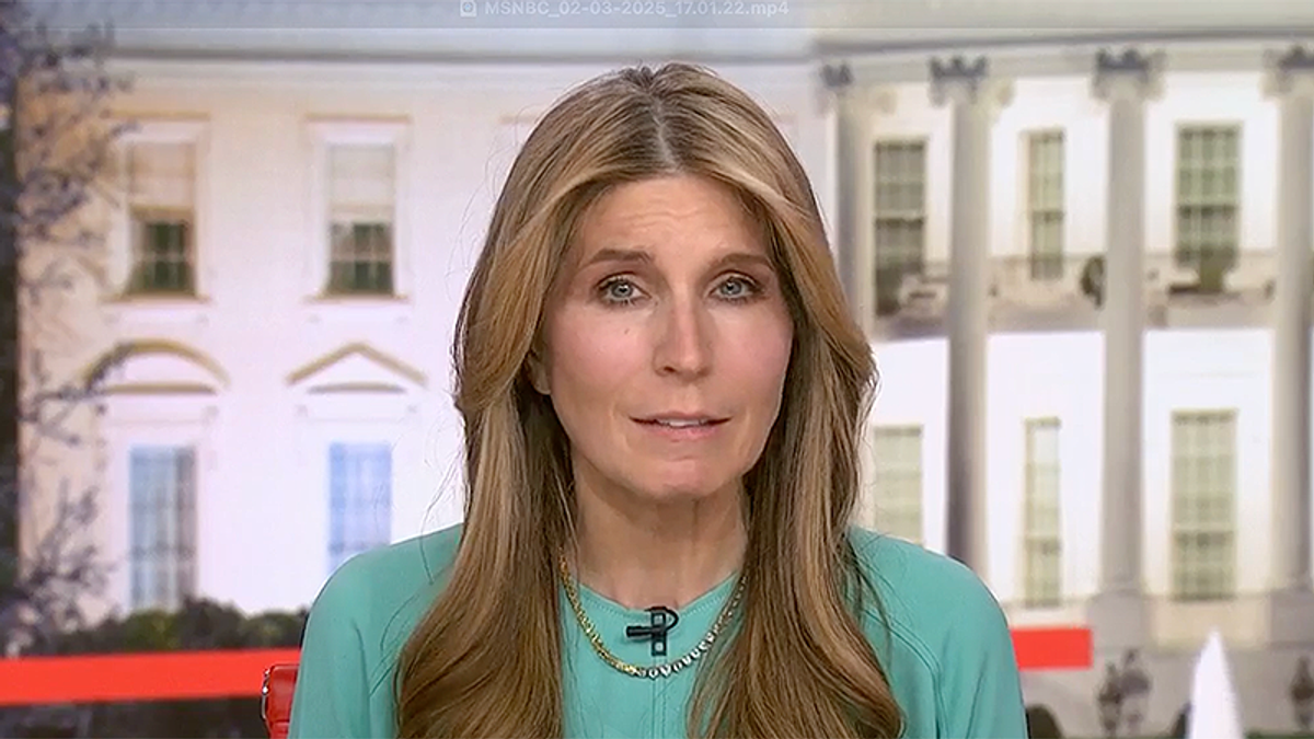 'Illegal dismantling': Nicolle Wallace hammers Musk and Trump for trying to kill USAID