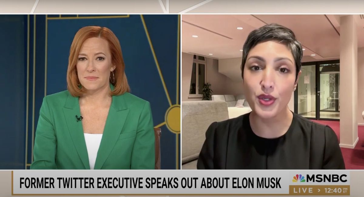 Ex-Twitter exec tips off federal workers how to avoid being 'surveilled' by Musk's people