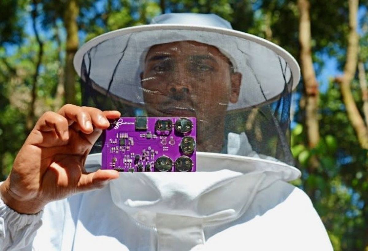 AI starts to help India's struggling farms