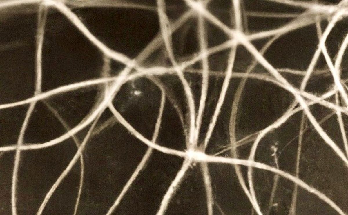 Networks of silver nanowires seem to learn and remember, much like our brains