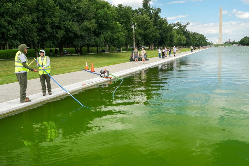 Laughter as workers put peroxide in algae-filled Reflecting Pool': '0 scientists in admin'