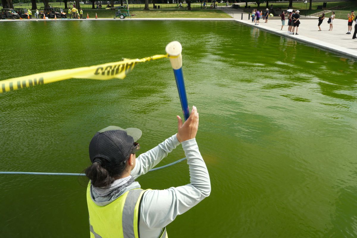 People react to workers pouring peroxide into the now bright green Reflecting Pool