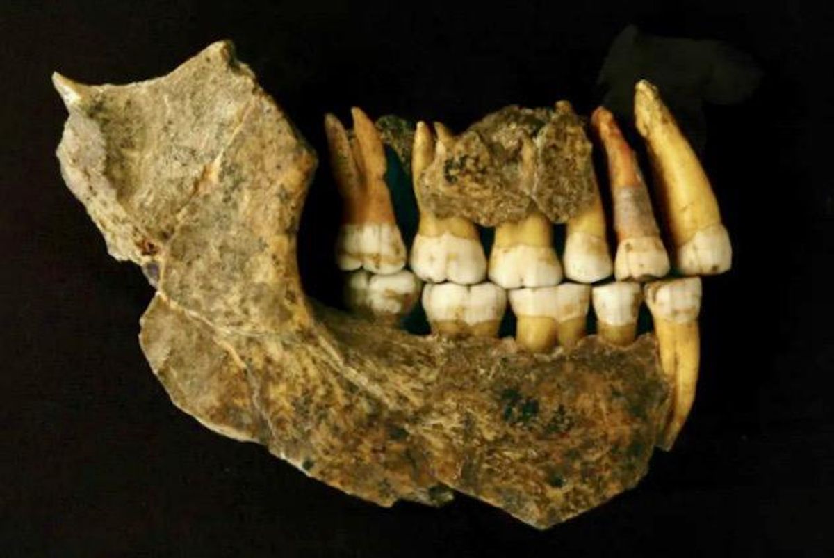 Neanderthals disappeared from Europe earlier than thought, says study