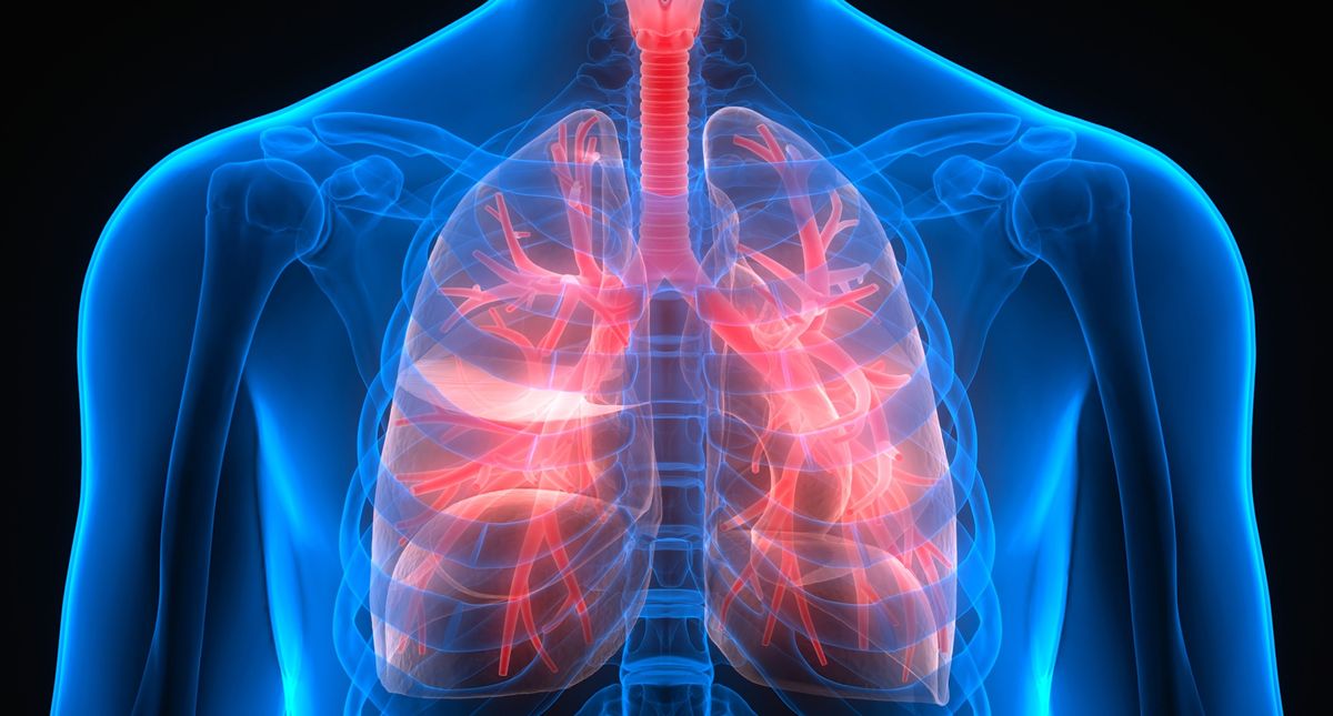 Microrobots made of algae carry chemo directly to lung tumors, improving cancer treatment