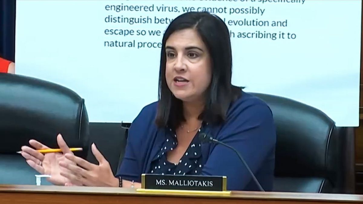 GOP rep. blames 'penguins' for ruining the Covid lab leak theory
