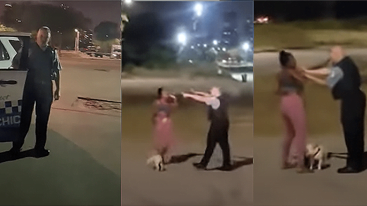 'If he got me on the floor I was dead': Black woman recalls terror from Chicago cop while walking her dog