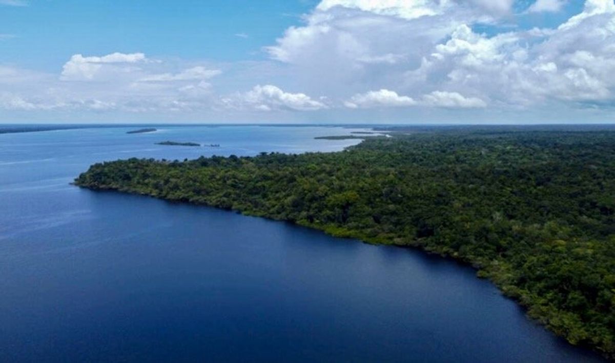 Amazon scientists simulate how warming may impact jungle