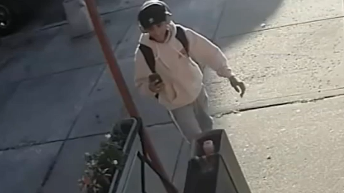 'I'll burn the building down': NYPD seeks man who threatened bagel shop over Israeli flags