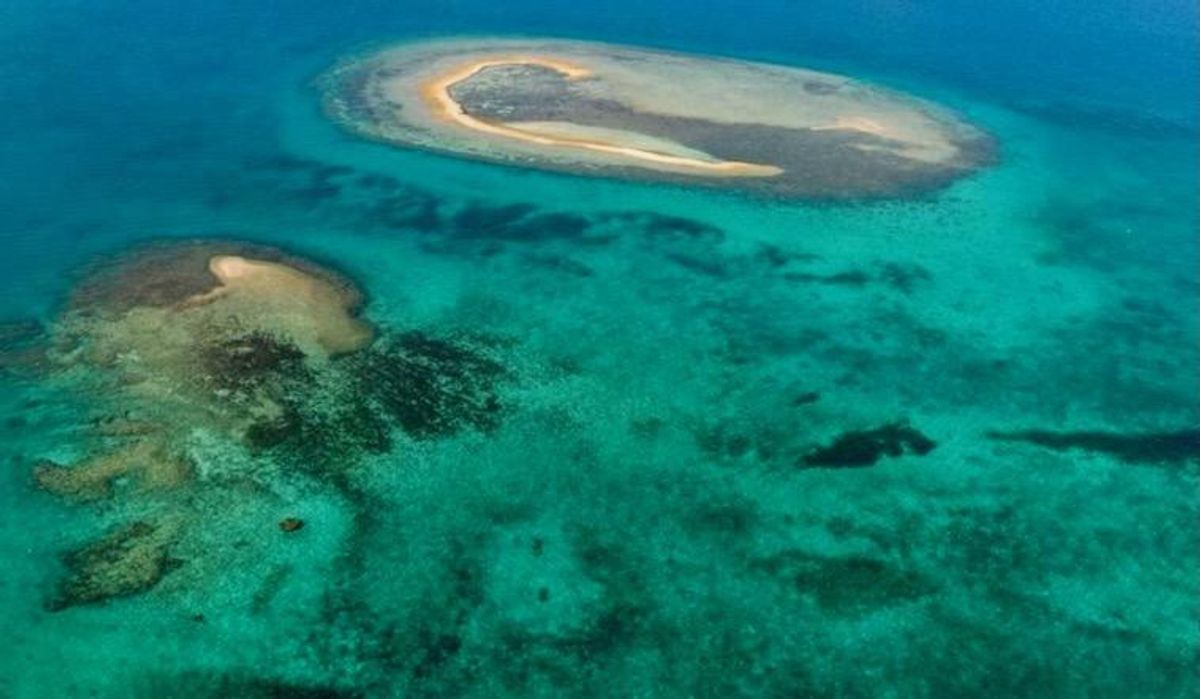 Scientists sound alarm as ocean temperatures hit new record