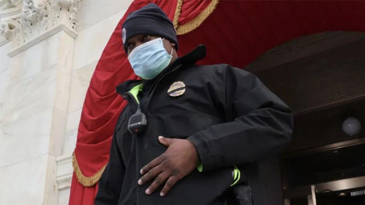 Notorious rioter who chased Capitol cop Goodman has cooperated with Jan 6th committee: report