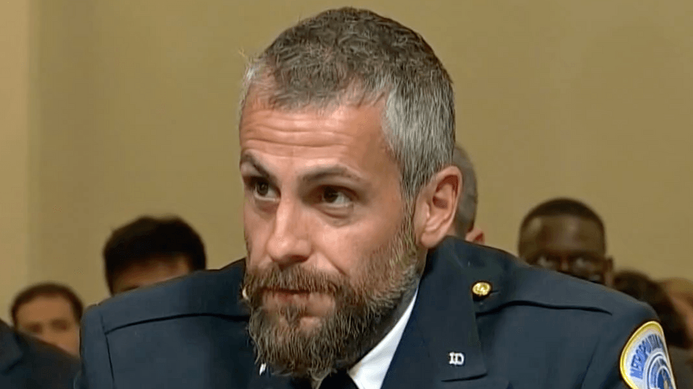 Trump supporter told FBI he tasered Officer Fanone to ‘protect’ him from mob: ‘I’m just not smart’