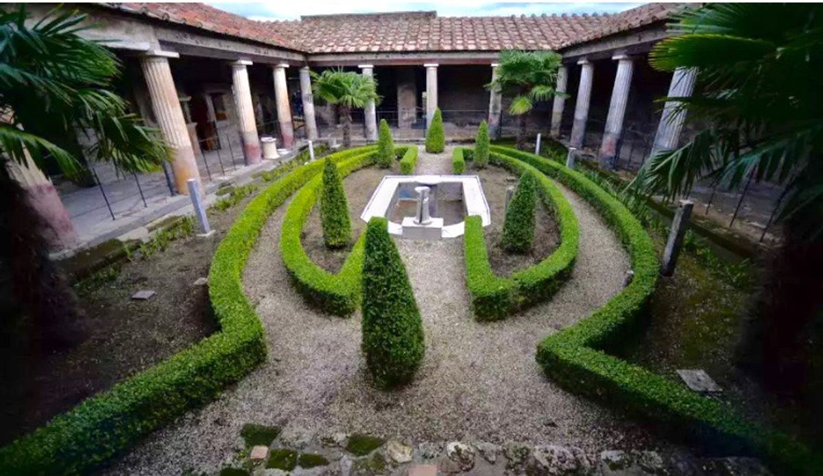 A botanical Pompeii: we found spectacular plant fossils from 30 million years ago