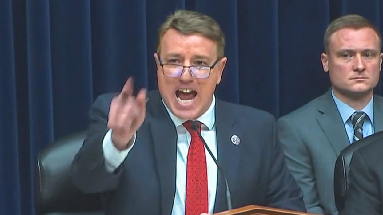 'Is this an insurrection?' Second Amendment hearing goes off the rails as protesters interrupt GOP chair