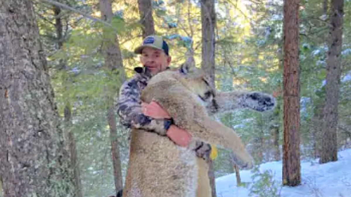 Capitol rioter banned from having firearms was just busted on gun charges after killing a mountain lion