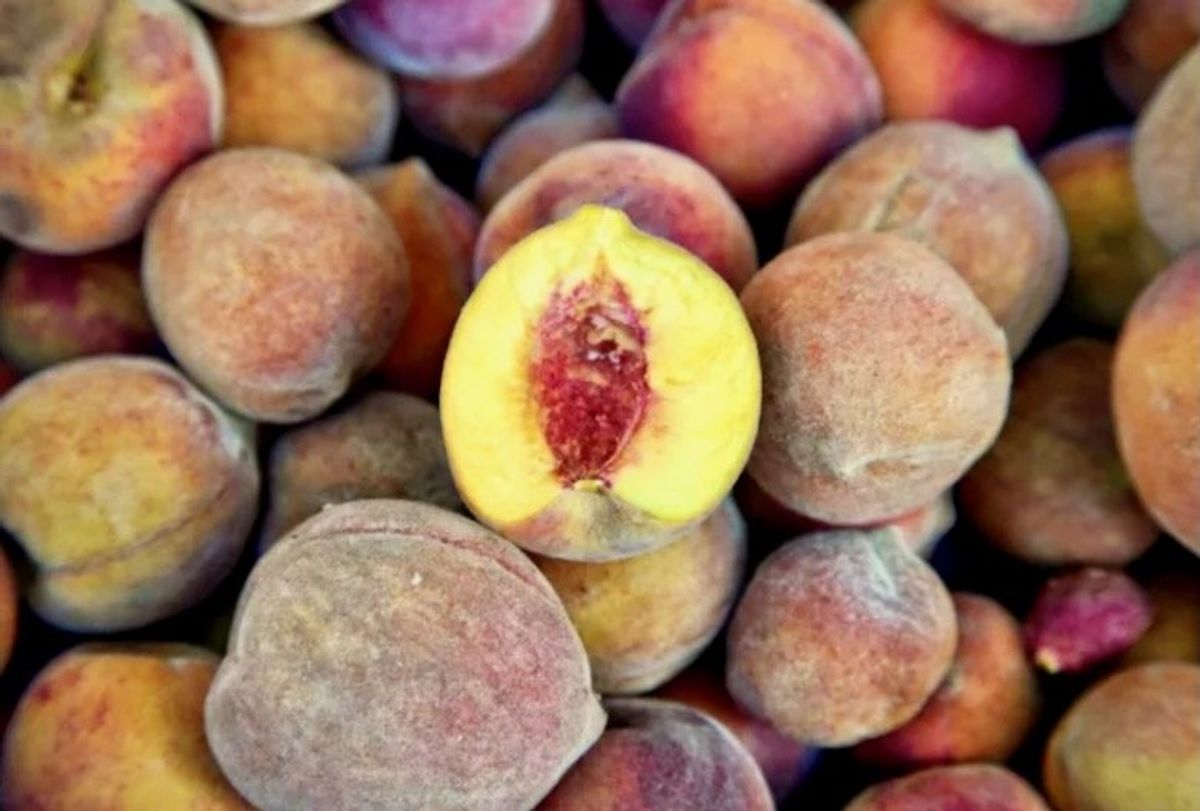 As climate changes, farms in US 'Peach State' suffer Raw Story