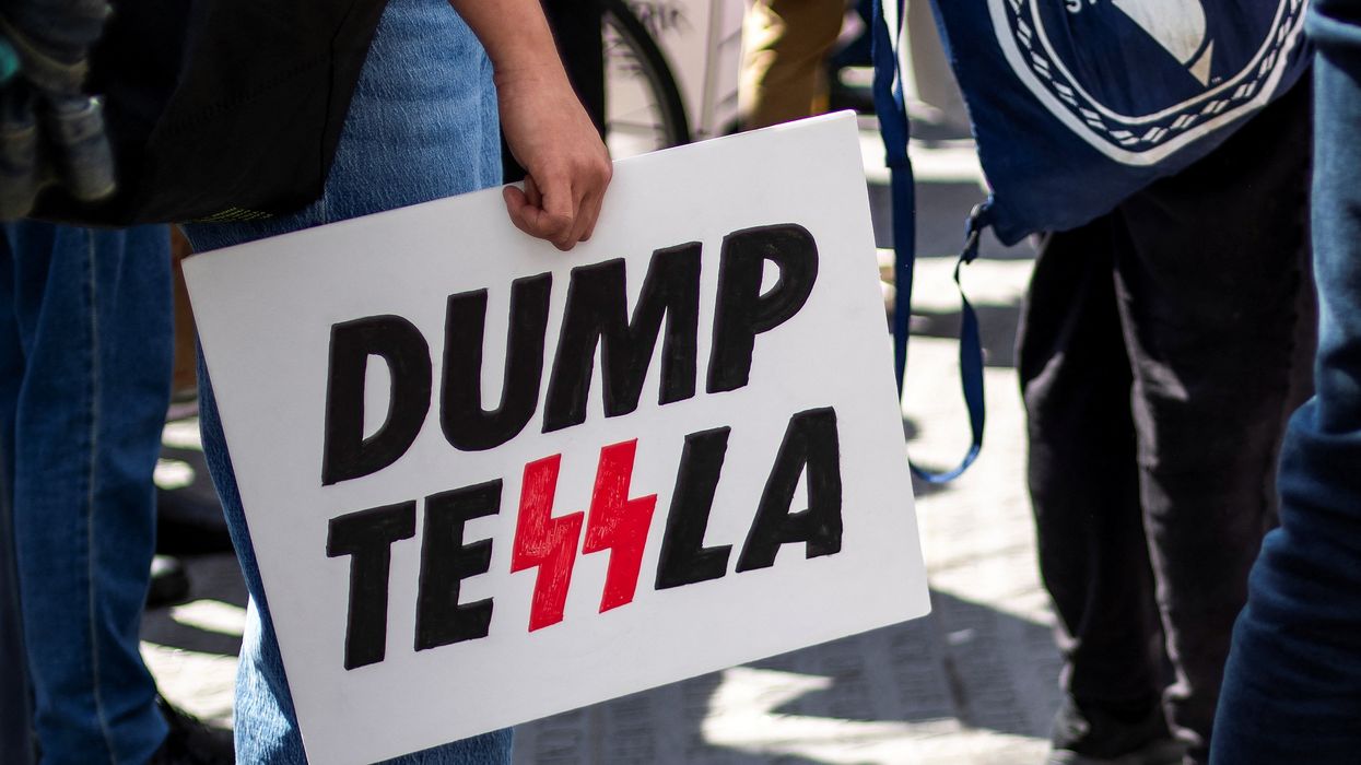 'Huge damage': Irked investor doubts 'despised' Elon Musk can fix free-falling Tesla