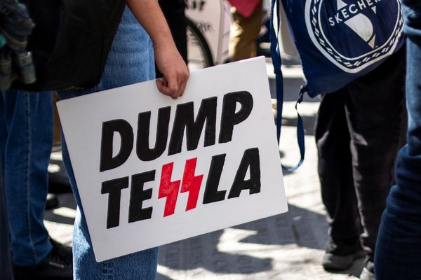 'Huge damage': Irked investor doubts 'despised' Elon Musk can fix free-falling Tesla