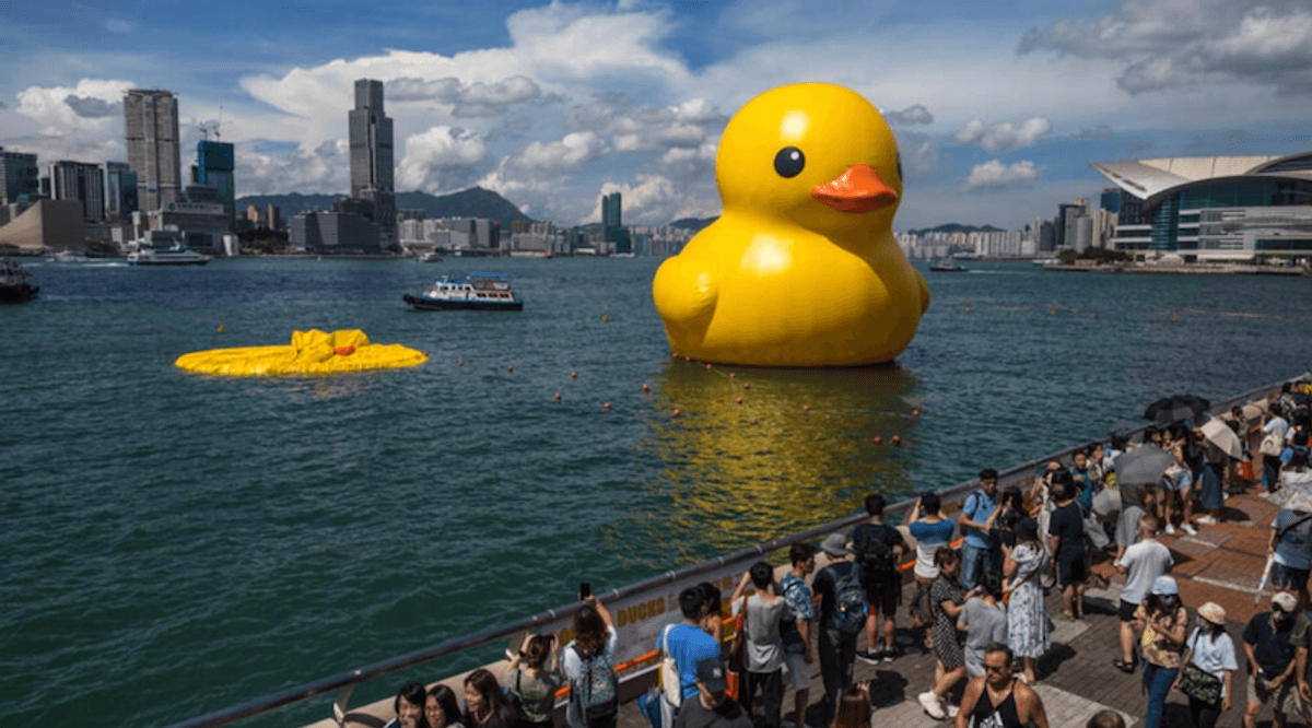 Giant rubber duck no match for Hong Kong's baking heat