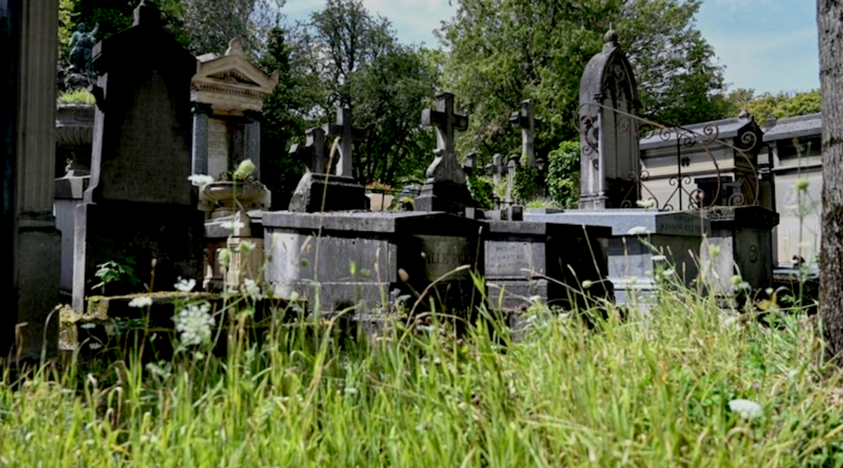 Full of life: Paris's Pere Lachaise cemetery goes greener
